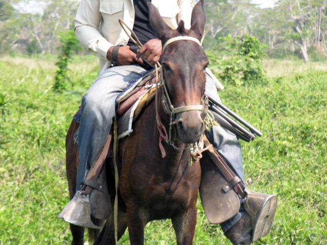 Uno de los hombres armados que trabajan para la empresa Aportes San Isidro en la hacienda Las Pavas